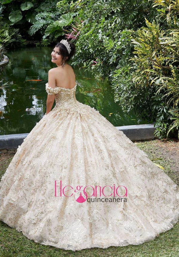 shop quinceanera dresses Dallas TX