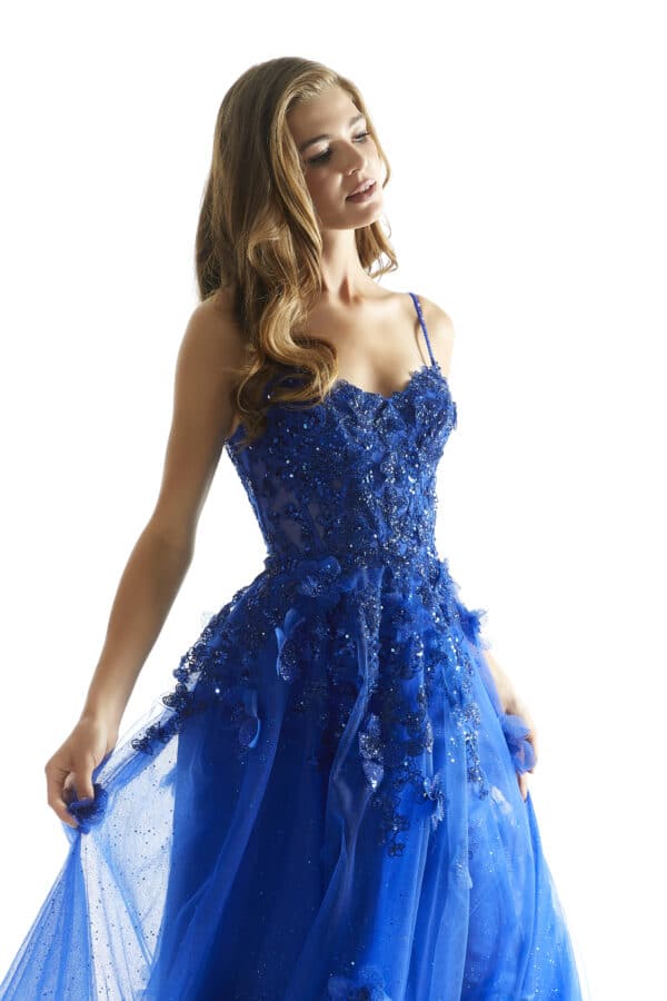 A-Line Ball Gown