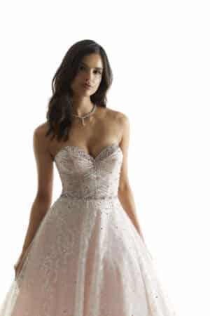 Crystal Beading on a Tulle Over patterned Glitter Tulle A-Line Ball Gown