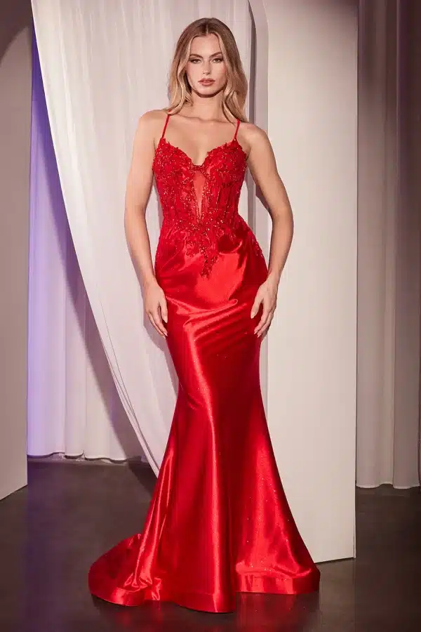 Plunging Neckline with Satin and Lace - Image 6