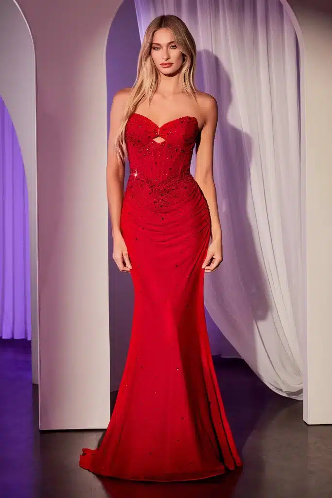 Elegant Formal Holiday Dresses