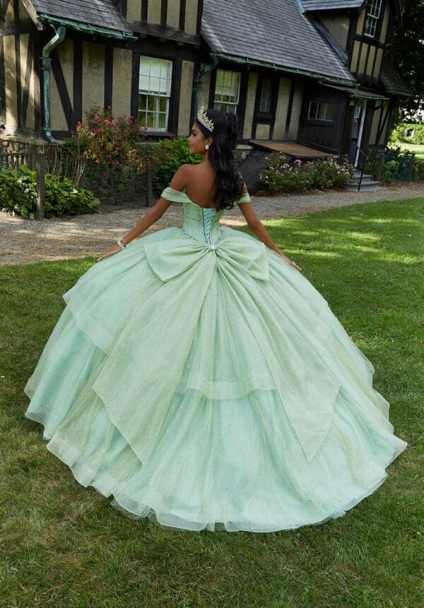 the back of a beautiful quince dress