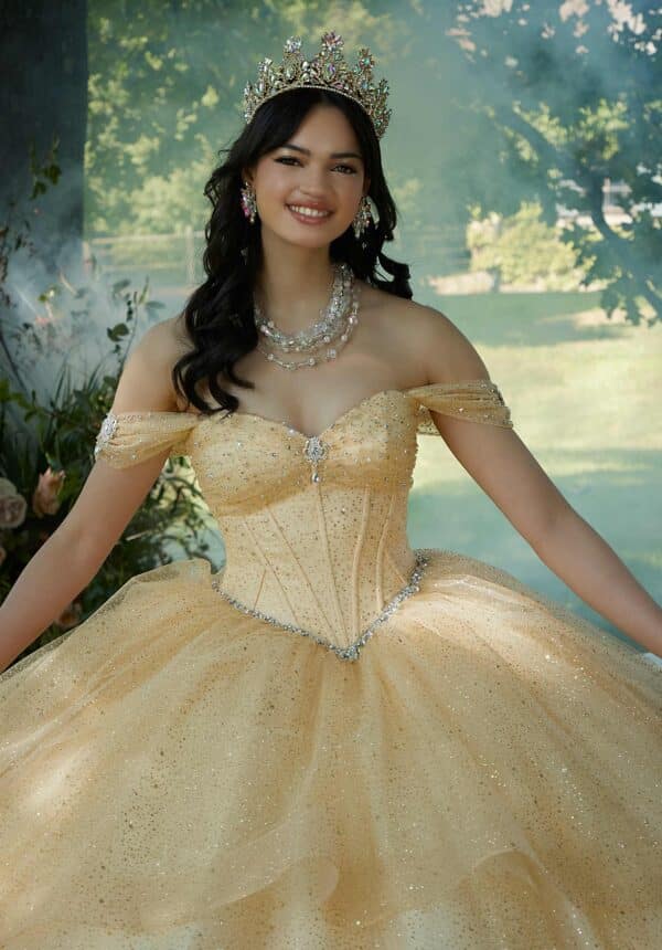 Gown with Couture Corset Bodice with Delicate Draping - Image 6
