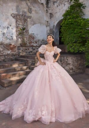 blush pink quinceanera dress
