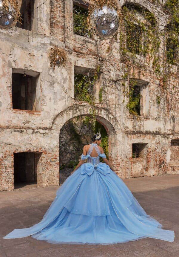 the back of a light blue gown