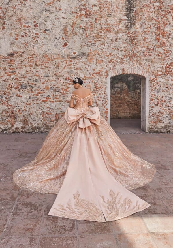 the back of a ball gown