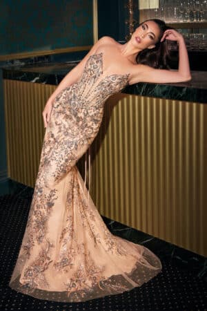 long evening gown